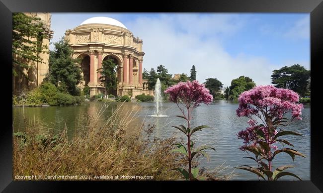 Palace of Fine Arts San Francisco Framed Print by Daryl Pritchard videos