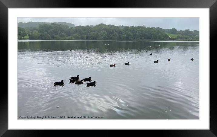 Knypersley reservoir Framed Mounted Print by Daryl Pritchard videos