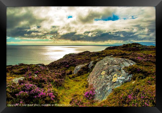 Heather Hills to the Sea Framed Print by Ivor Bond