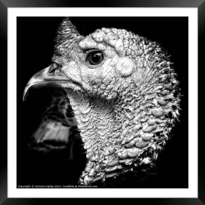 Monochrome turkey Framed Mounted Print by Victoria Copley