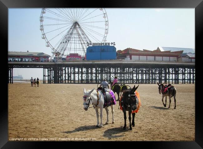 Donkeys on Blackpool beach Framed Print by Victoria Copley