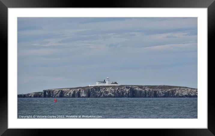 Inner Farne Lighthouse Framed Mounted Print by Victoria Copley