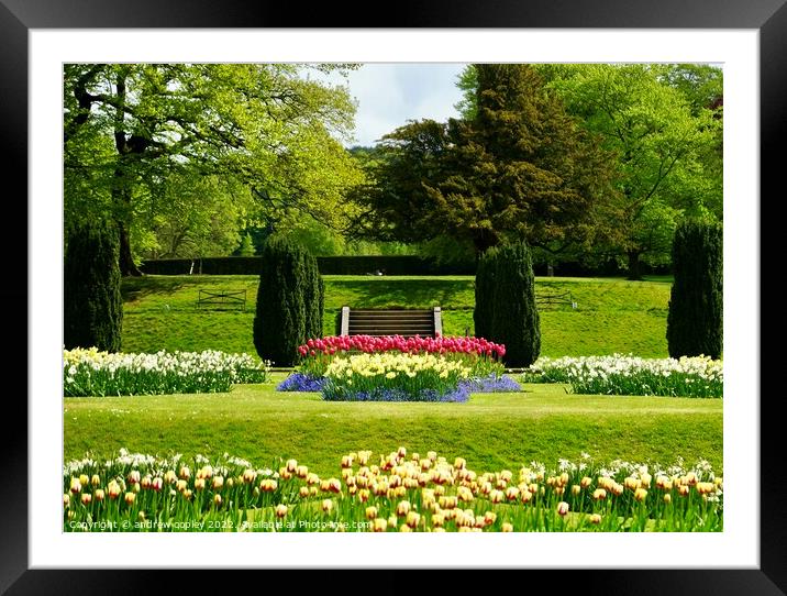 Lyme Park gardens Framed Mounted Print by andrew copley