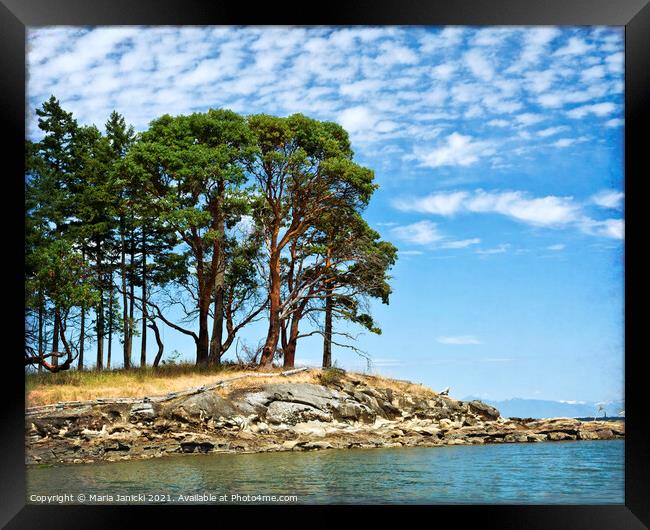 Morning Beach Arbutus Framed Print by Maria Janicki