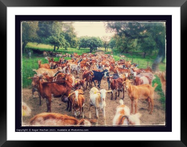 The Bucolic Symphony Framed Mounted Print by Roger Mechan