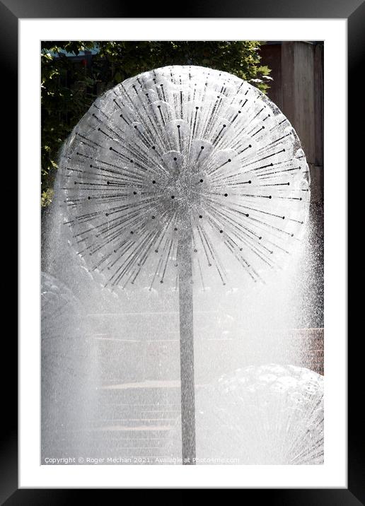 Dandelion Fountain: A Captivating Oasis Framed Mounted Print by Roger Mechan