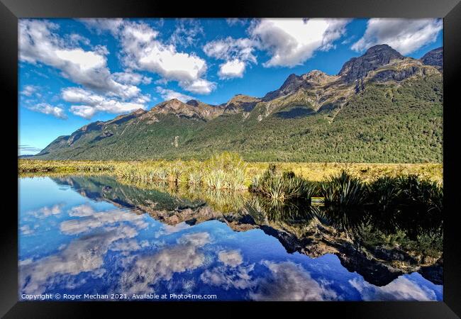 Reflections of Nature Framed Print by Roger Mechan