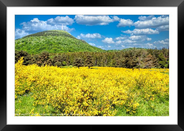 Gorse and Fir Climb to TV Mast Framed Mounted Print by Roger Mechan