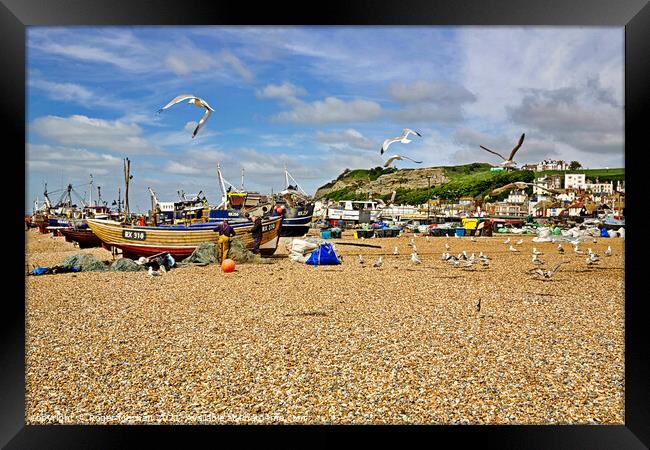 Fishing Boats and Seagulls Framed Print by Roger Mechan