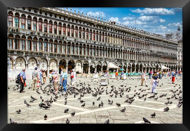 Piazza San Marco's Bird Feeding Frenzy Framed Print by Roger Mechan