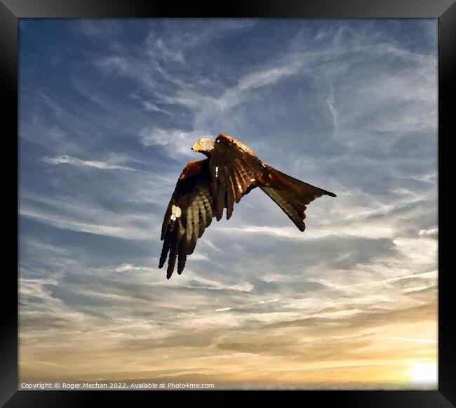 Graceful Red Kite Soaring in the Sky Framed Print by Roger Mechan