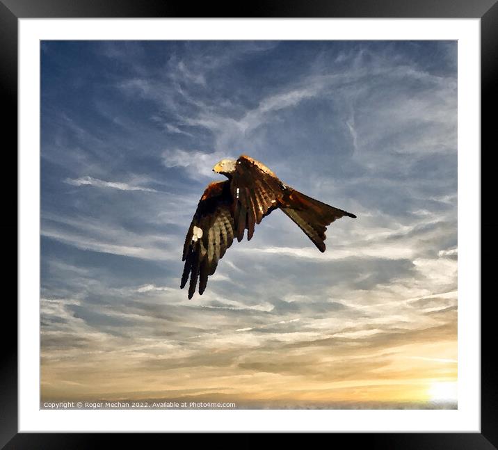 Graceful Red Kite Soaring in the Sky Framed Mounted Print by Roger Mechan