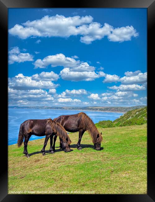 Coastal Horses Framed Print by Roger Mechan