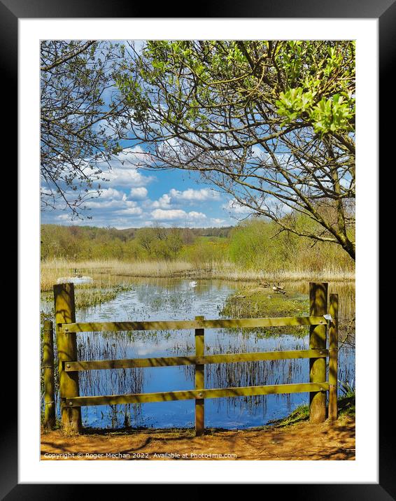 Serenity in Nature Framed Mounted Print by Roger Mechan