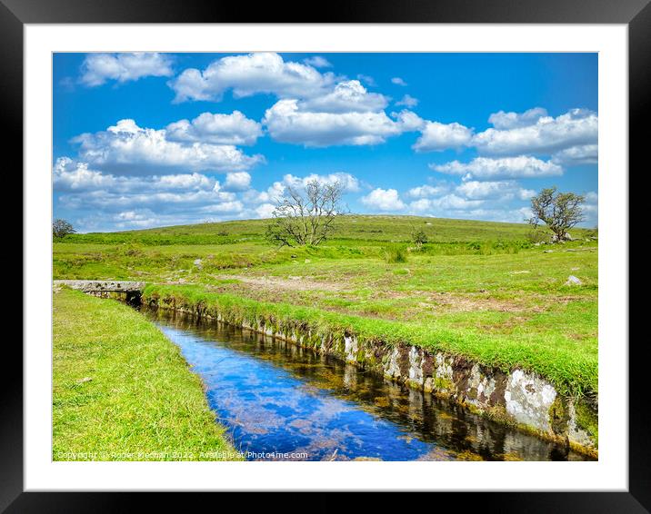 Serpentine Stream in Dartmoor Framed Mounted Print by Roger Mechan