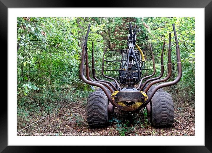 Timber Transporter in the Forest Framed Mounted Print by Roger Mechan