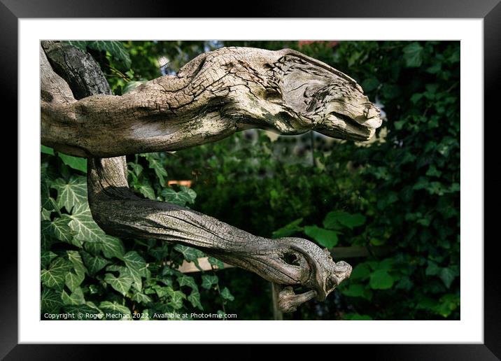 Serpentine Woodland Wonders Framed Mounted Print by Roger Mechan