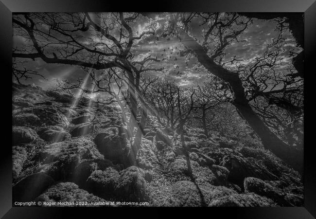 Dartmoor in black and white. Mystical woodland at  Framed Print by Roger Mechan