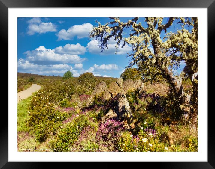 Enchanting Wildflower Path Framed Mounted Print by Roger Mechan