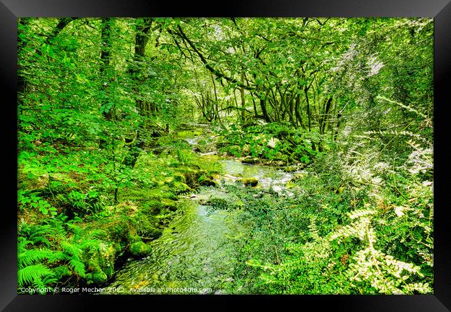 Enchanted Woodland Oasis Framed Print by Roger Mechan