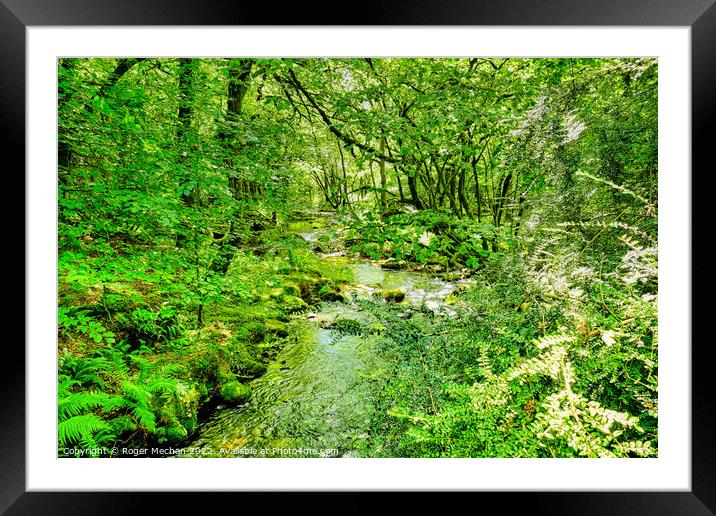 Enchanted Woodland Oasis Framed Mounted Print by Roger Mechan