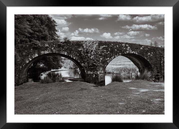Bridges over the West Dart Framed Mounted Print by Roger Mechan