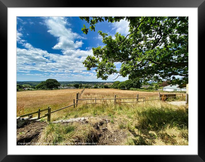 Serene Countryside Vista Framed Mounted Print by Roger Mechan