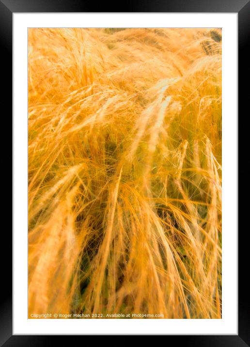 Whispering Grasses in the Wind Framed Mounted Print by Roger Mechan