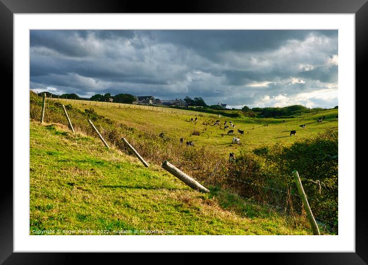Serene Countryside Cowscape Framed Mounted Print by Roger Mechan