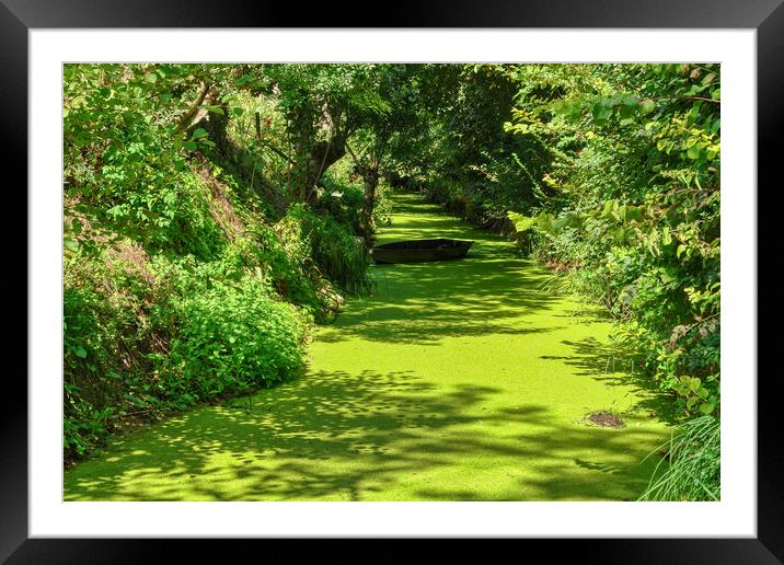 Solitude on Green Venice Canal Framed Mounted Print by Roger Mechan