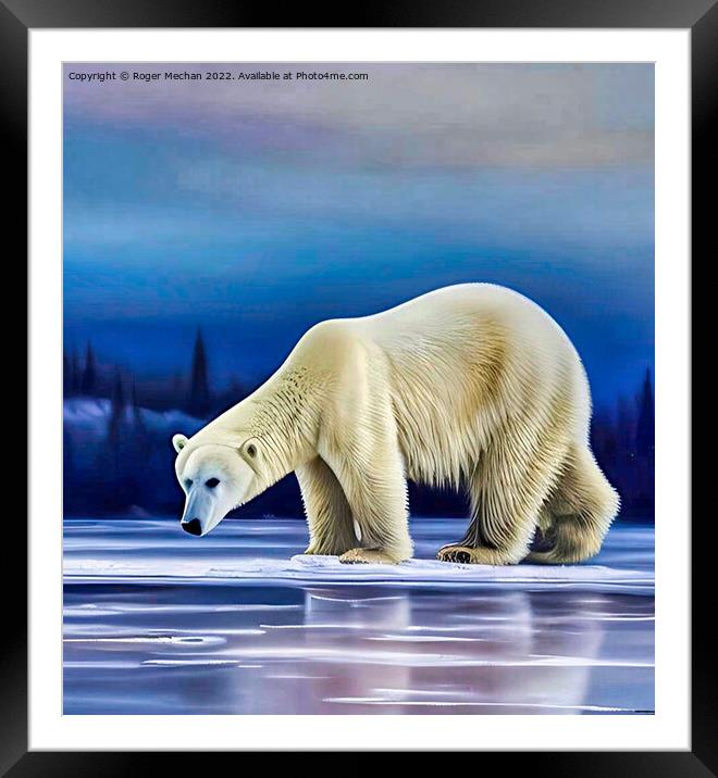 Arctic Majesty Framed Mounted Print by Roger Mechan
