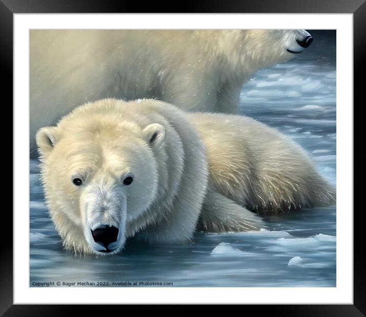 Arctic Predator's Swim Framed Mounted Print by Roger Mechan