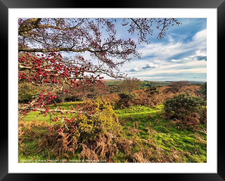 Autumn colours on Dartmoor Framed Mounted Print by Roger Mechan