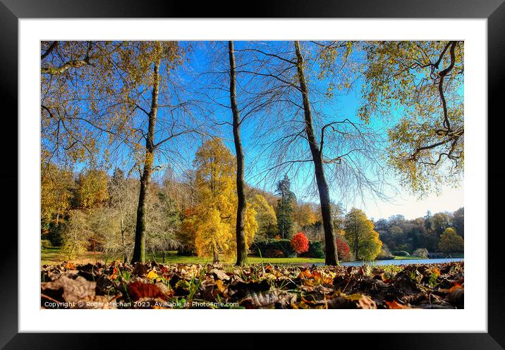 Carpet of autumn leaves under a blue sky Framed Mounted Print by Roger Mechan