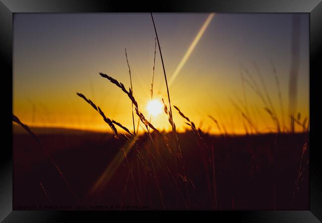 Dartmoor Sunset Framed Print by Mattie Evans