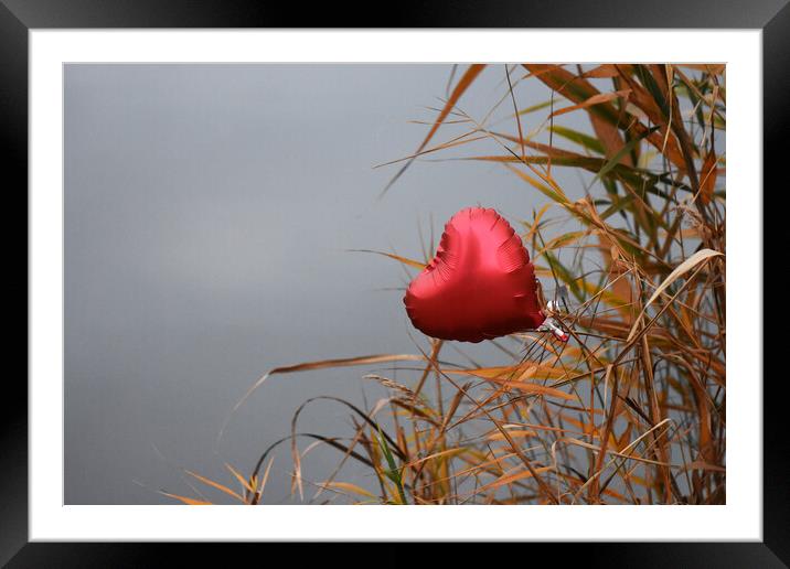 Red heart on dry reed grass Framed Mounted Print by Stan Lihai