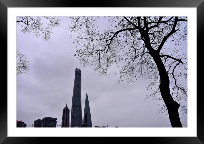 Shanghai skyscrapers in the evening Framed Mounted Print by Stan Lihai