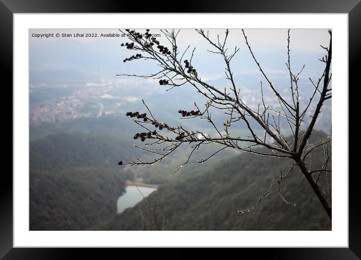 Ice tree in Xihu mountains Framed Mounted Print by Stan Lihai