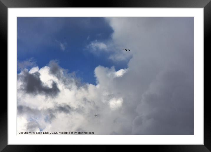 Seagulls in rainy sky Framed Mounted Print by Stan Lihai