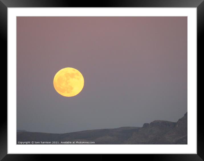 full desert moon Framed Mounted Print by tom harrison