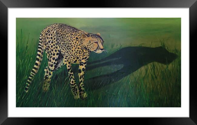 Cheetah Shadow Framed Print by Mehmood Neky
