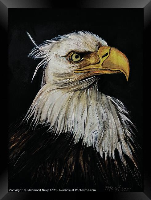 USA Bald Eagle Painting Framed Print by Mehmood Neky