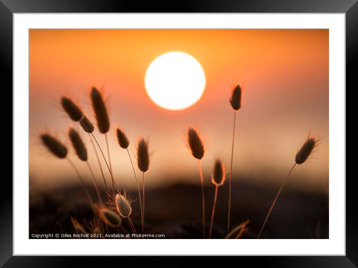 Golden sunrise Spain Framed Mounted Print by Giles Rocholl