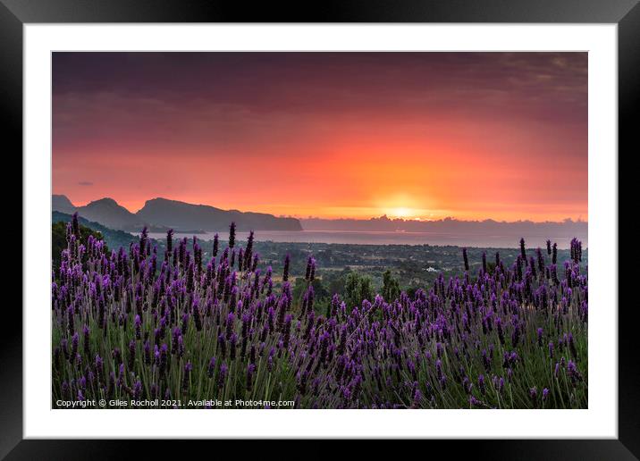 Lavender sunrise Pollensa Framed Mounted Print by Giles Rocholl