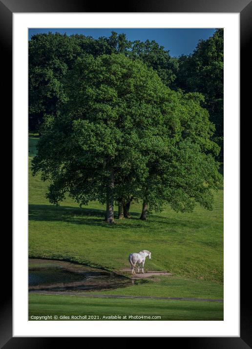 White horse Yorkshire Framed Mounted Print by Giles Rocholl