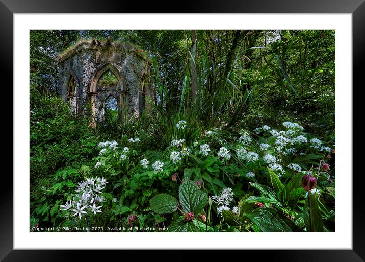 Hackfall Masham Yorkshire Framed Mounted Print by Giles Rocholl