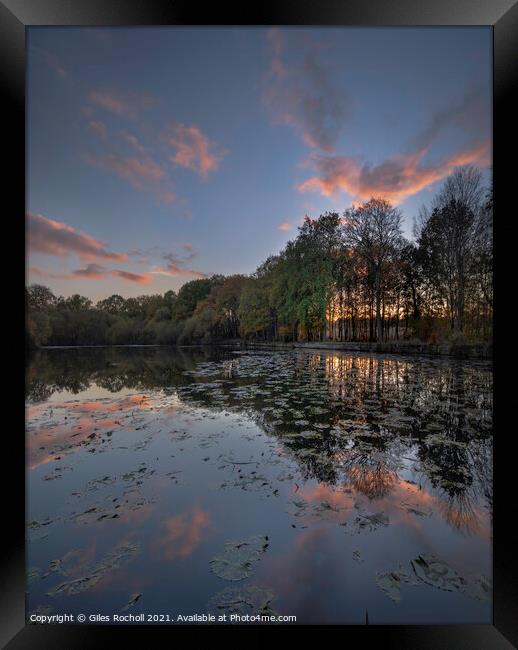 Golden Acre Park Yorkshire Framed Print by Giles Rocholl