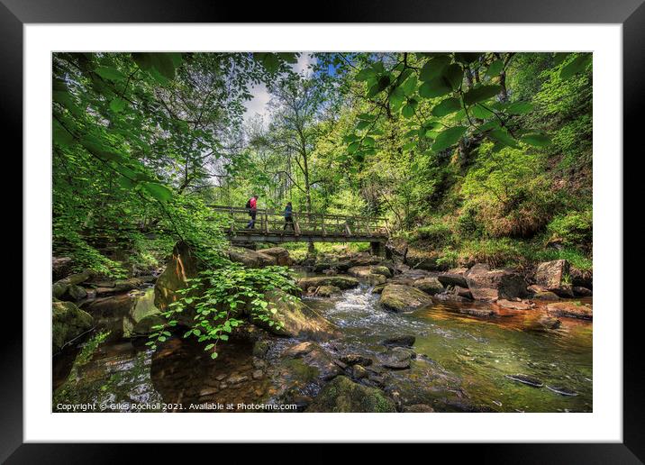 Walking River Esk Yorkshire Framed Mounted Print by Giles Rocholl