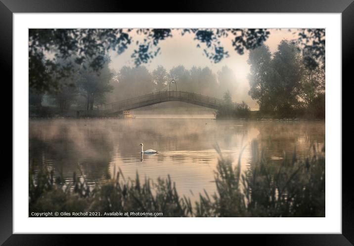Swan lake Yorkshire Framed Mounted Print by Giles Rocholl