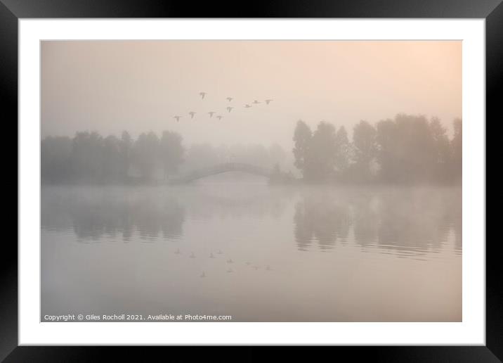 Flying ducks over misty lake Doncaster Framed Mounted Print by Giles Rocholl